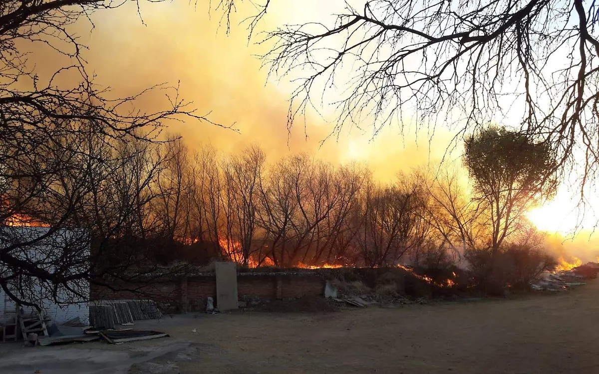 Incendio Panteón Jardín 1